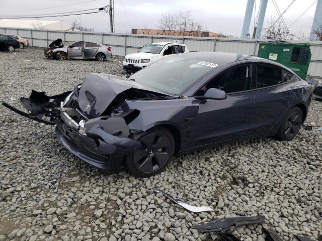 2023 TESLA MODEL 3  2023 image