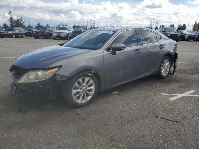 Obraz 2014 LEXUS ES 300H 2014