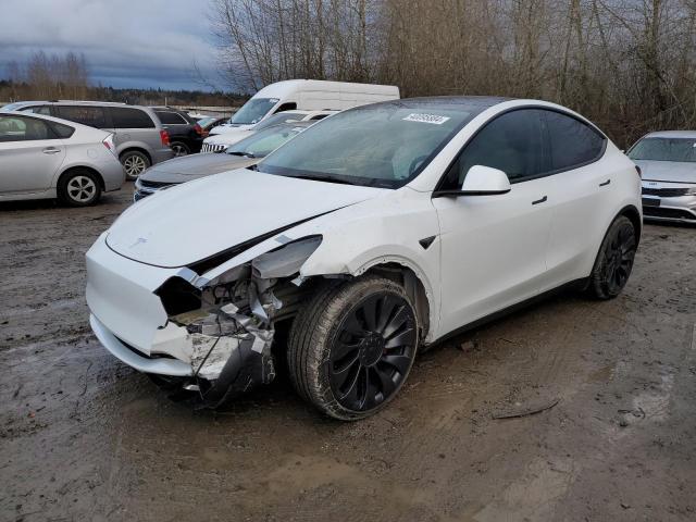 2023 TESLA MODEL Y  2023 image