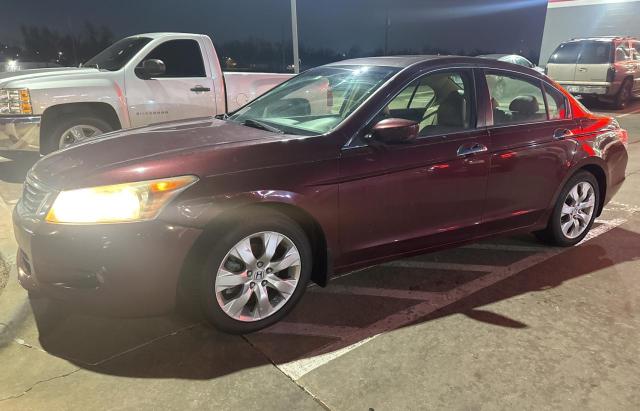 Obraz 2 z 2008 HONDA ACCORD EXL 2008 z VIN 1HGCP368X8A077456