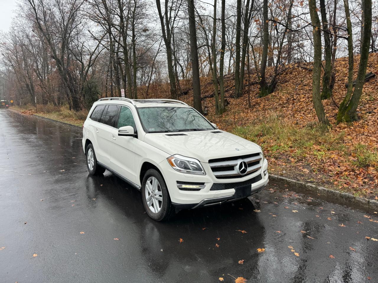 Obraz 1 z 2013 MERCEDES-BENZ GL 450 4MATIC 2013 z VIN 4JGDF7CE4DA246948
