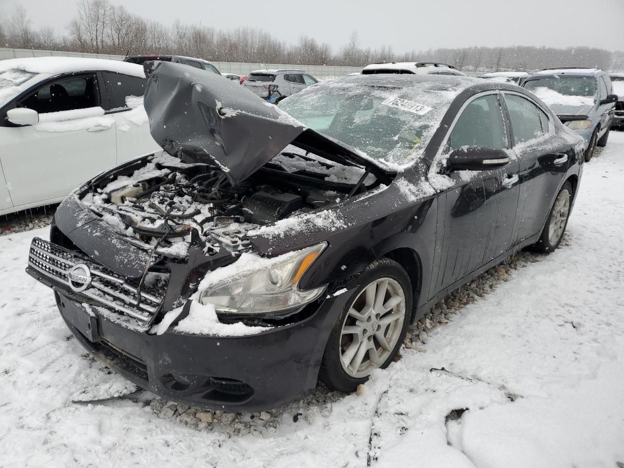 2011 NISSAN MAXIMA S 2011 image