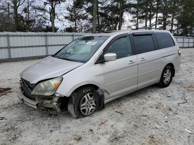 2005 HONDA ODYSSEY EXL 2005 image