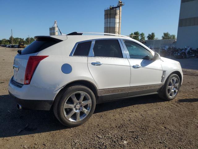 Obraz 3 z 2010 CADILLAC SRX PREMIUM COLLECTION 2010 z VIN 3GYFNFEY8AS646243