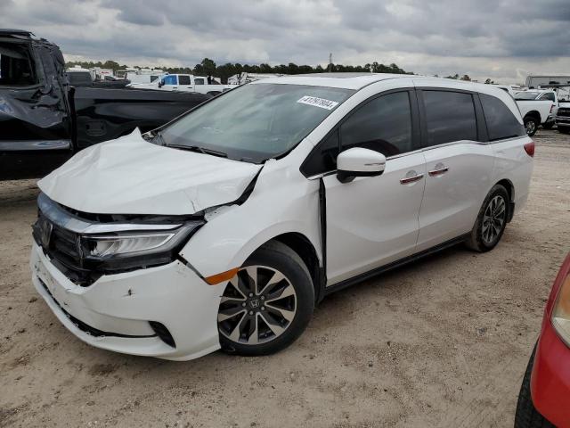Изображение 2022 HONDA ODYSSEY EXL 2022
