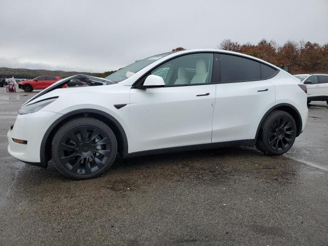2021 TESLA MODEL Y  2021 image