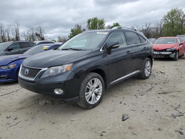 2010 LEXUS RX 450 2010 image