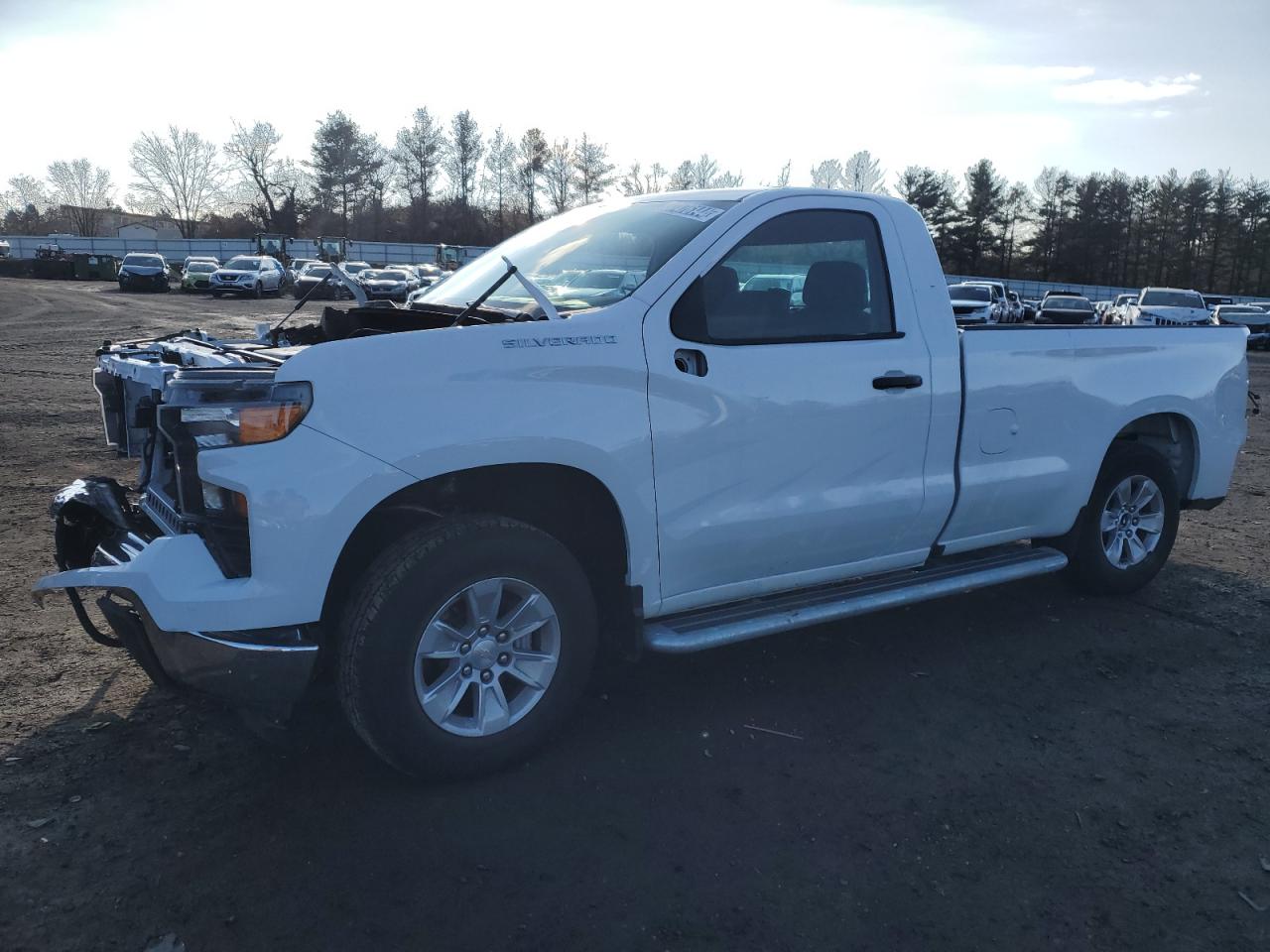 Изображение 2023 CHEVROLET SILVERADO C1500 2023