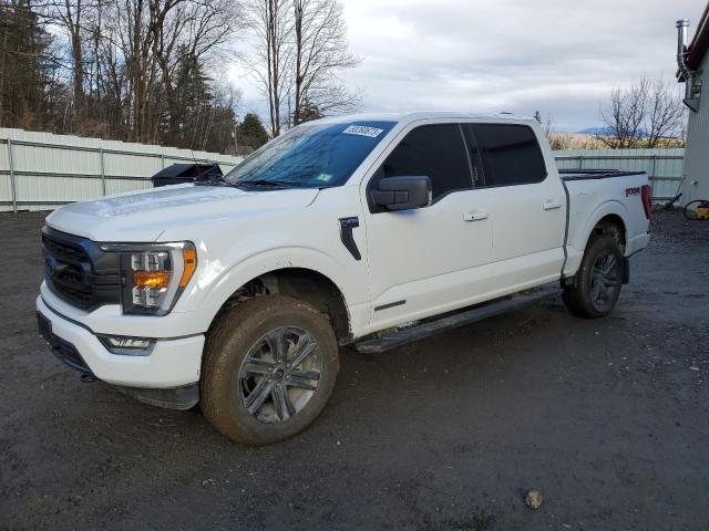 Image 1 of 2023 FORD F150 SUPERCREW 2023 with VIN 1FTFW1ED8PFA14830