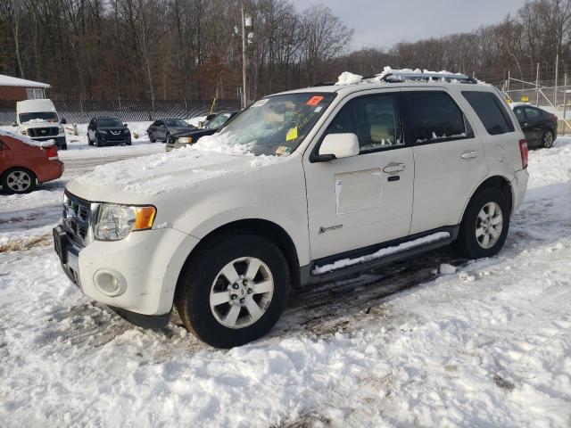 Image 1 of 2009 FORD ESCAPE HYBRID 2009 with VIN 1FMCU49369KB01319