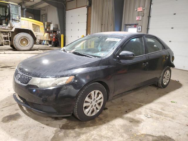 Image 1 of 2013 KIA FORTE EX 2013 with VIN KNAFU4A24D5672591