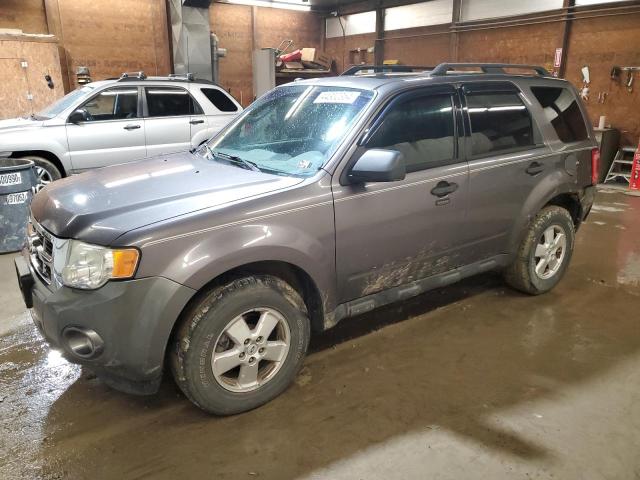 Image 1 of 2010 FORD ESCAPE XLT 2010 with VIN 1FMCU0D76AKA69463