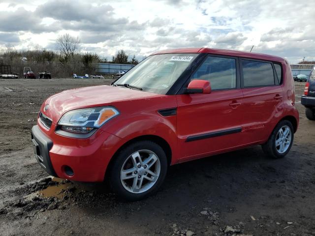 Obraz 2011 KIA SOUL + 2011