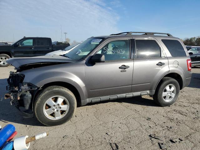 2011 FORD ESCAPE XLT 2011 image