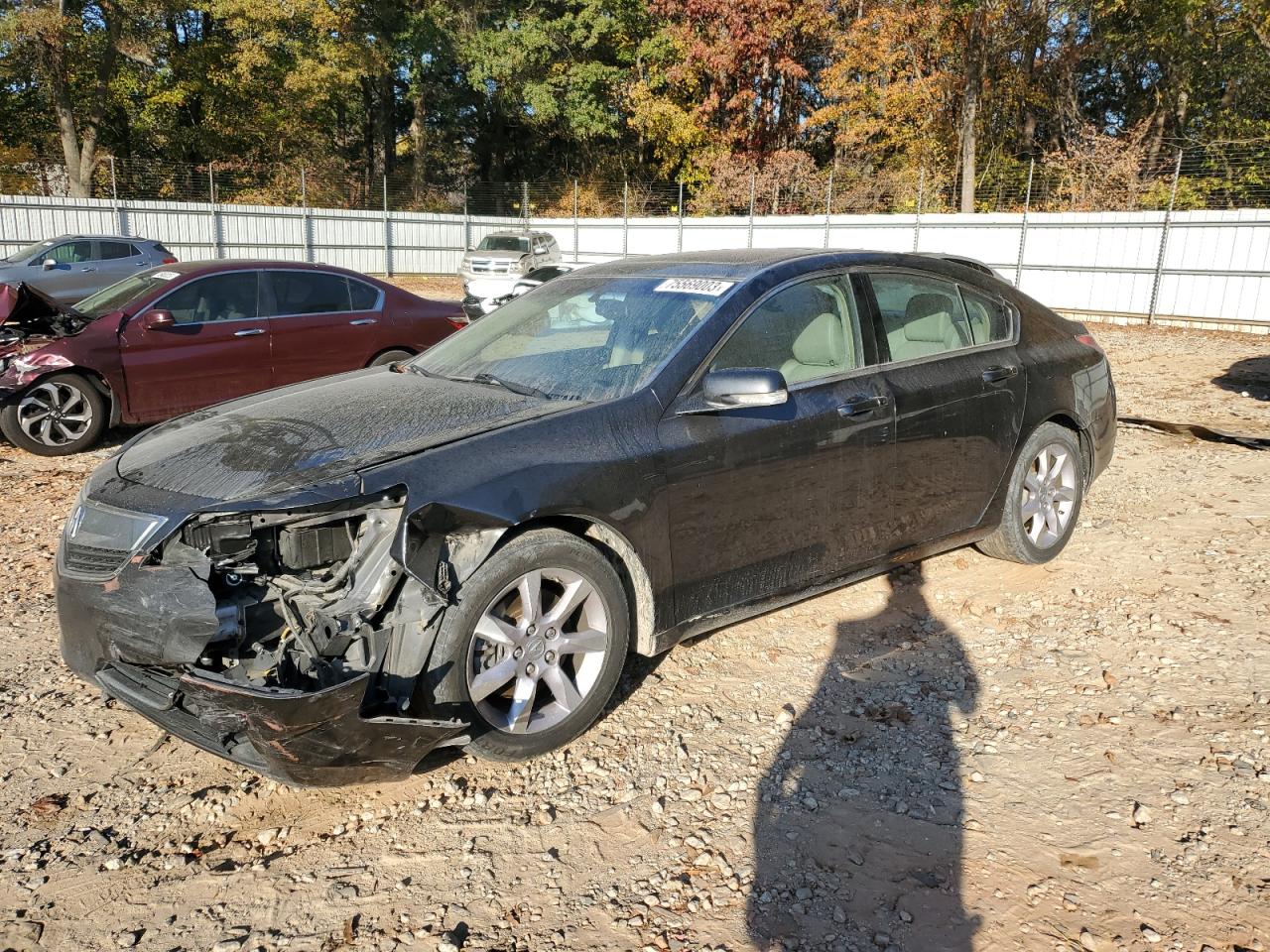 2013 ACURA TL  2013 image