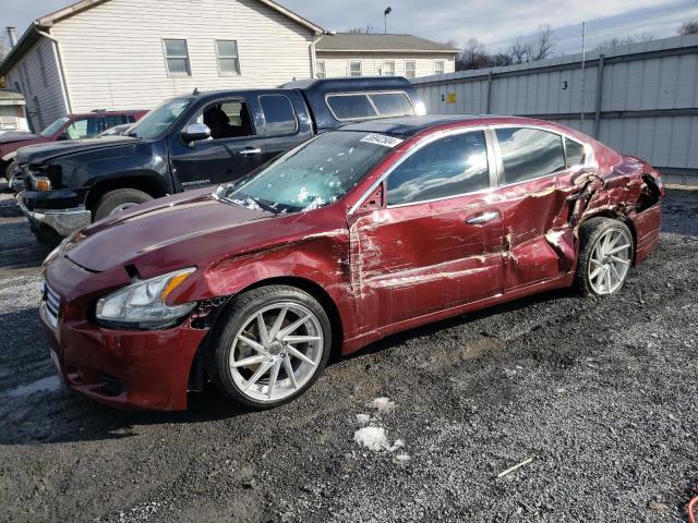 2013 NISSAN MAXIMA S 2013 image