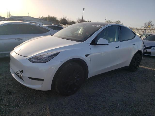 2023 TESLA MODEL Y  2023 image