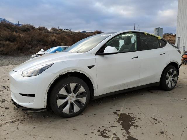 2023 TESLA MODEL Y  2023 image