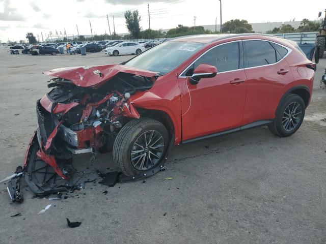 2024 LEXUS NX 250 BASE 2024 image