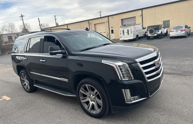 Obraz 2016 CADILLAC ESCALADE LUXURY 2016