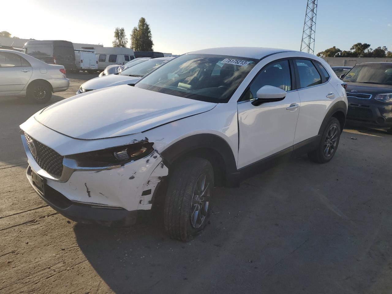 Obraz 2020 MAZDA CX-30  2020
