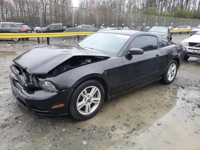 2014 FORD MUSTANG  2014 image
