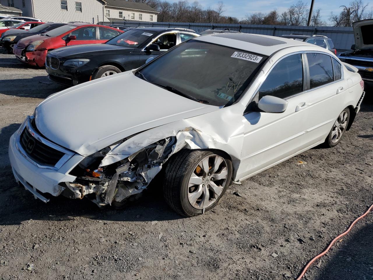 2008 HONDA ACCORD EXL 2008 image