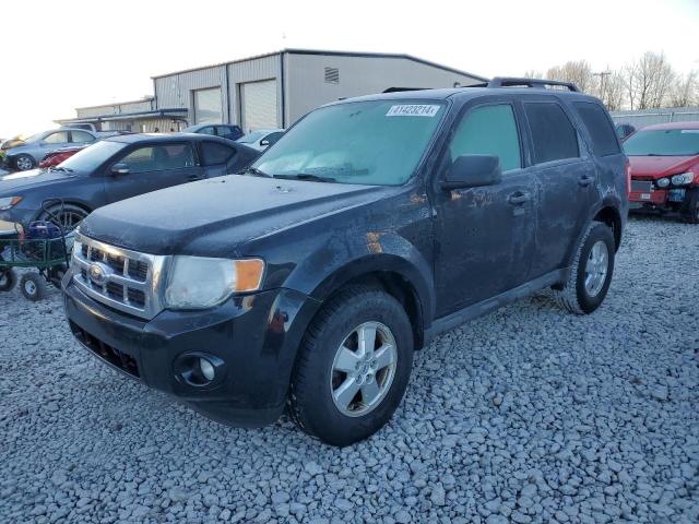 Image 1 of 2009 FORD ESCAPE XLT 2009 with VIN 1FMCU03G89KA94443
