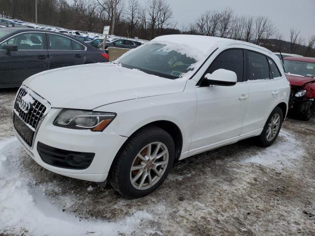 2010 AUDI Q5 PREMIUM PLUS 2010 image