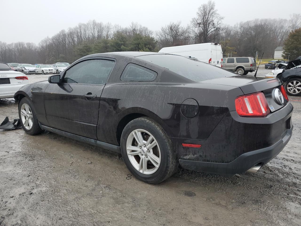 Obraz 2 z 2012 FORD MUSTANG  2012 z VIN 1ZVBP8AM2C5213444