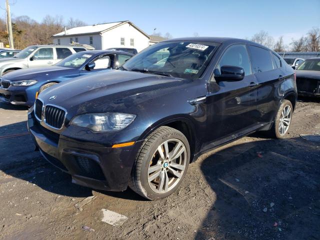 2011 BMW X6 M 2011 image