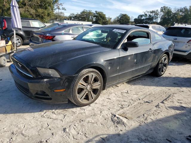 2014 Ford Mustang 2014 image