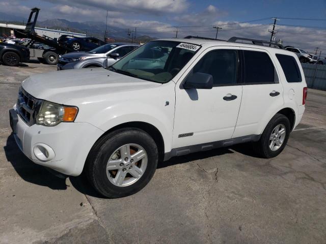 2008 FORD ESCAPE HEV 2008 image