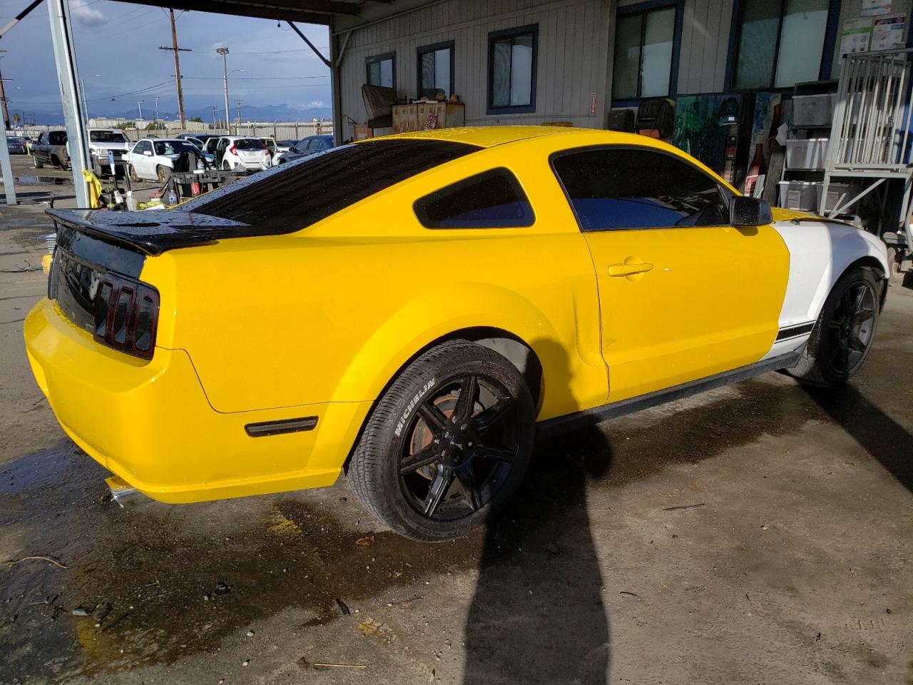 Obraz 3 z 2005 FORD MUSTANG  2005 z VIN 1ZVFT80N255224759