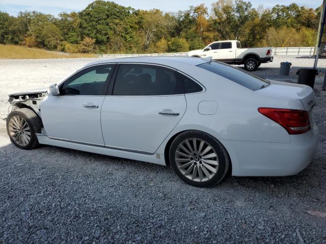 Obraz 2 z 2015 HYUNDAI EQUUS SIGNATURE 2015 z VIN KMHGH4JH2FU100536