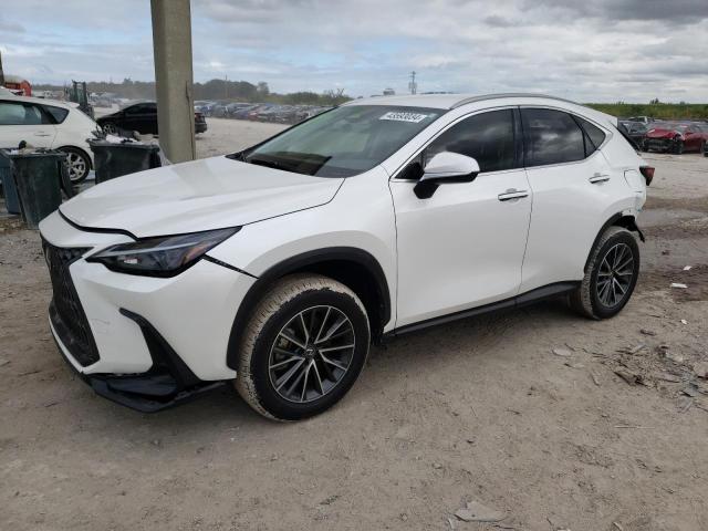 2024 LEXUS NX 250 BASE 2024 image