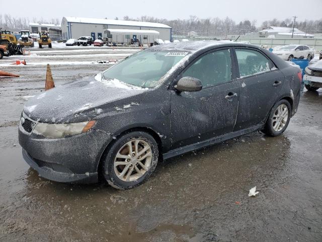 Obraz 2012 KIA FORTE EX 2012