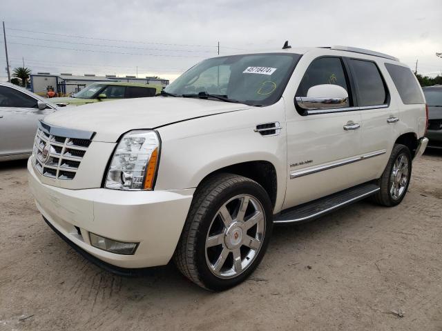 2011 CADILLAC ESCALADE  2011 image