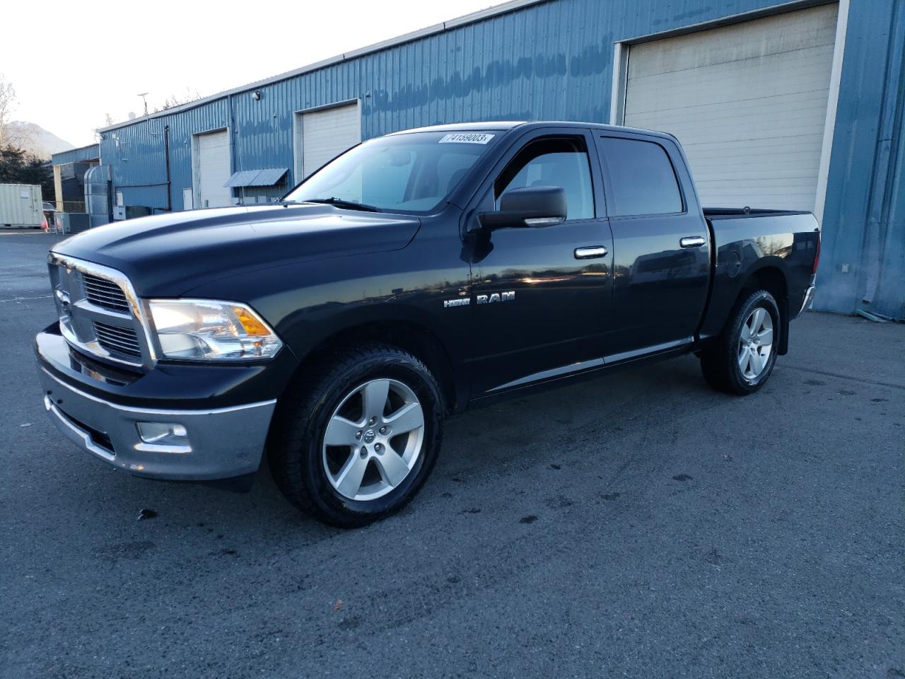 Obraz 2010 DODGE RAM 1500  2010