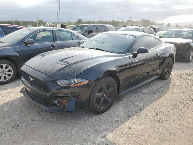 Obraz 2019 FORD MUSTANG  2019