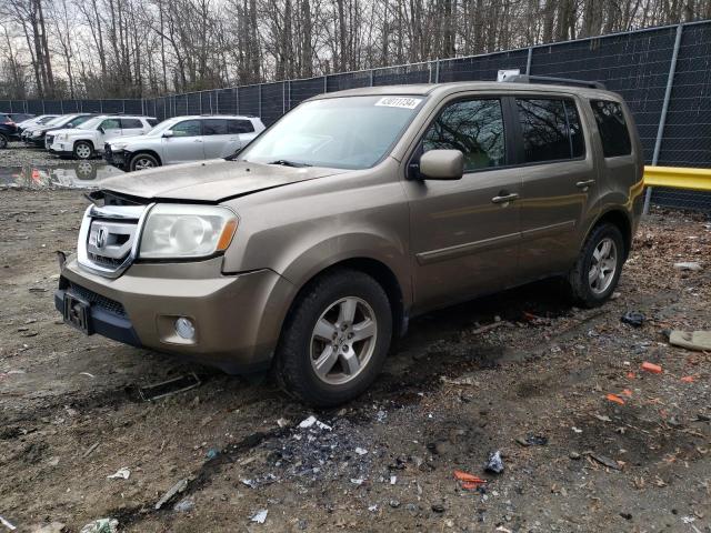 Obraz 2010 HONDA PILOT EXL 2010