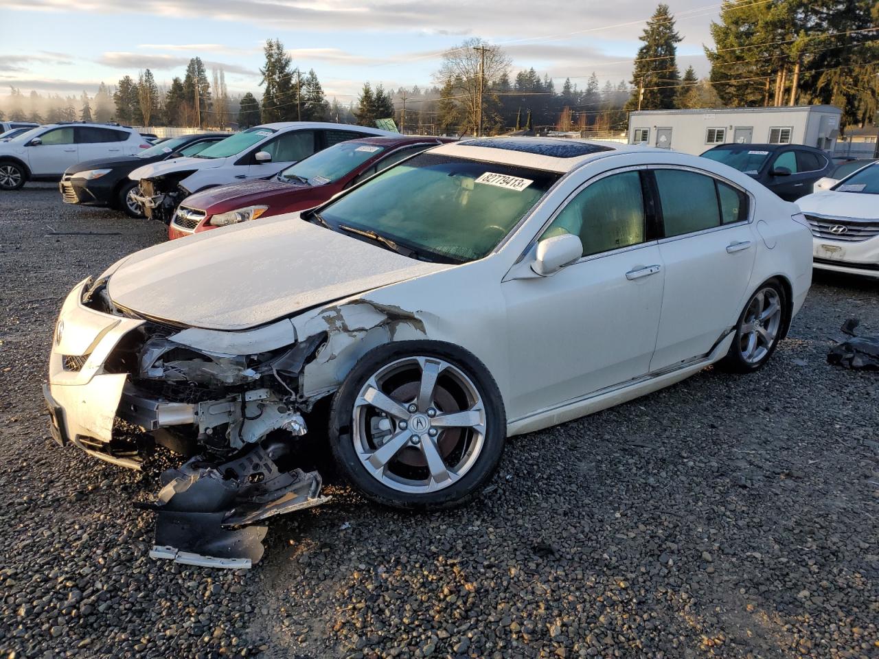 Obraz 2009 ACURA TL  2009