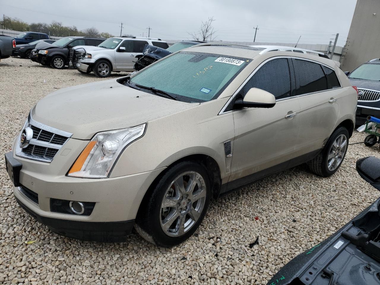 2010 CADILLAC SRX PREMIUM COLLECTION 2010 image