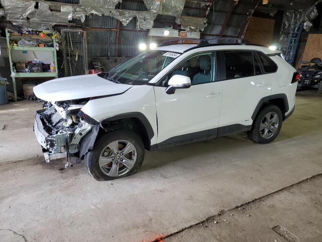 Image 1 of 2023 TOYOTA RAV4 XLE 2023 with VIN 4T3RWRFV2PU095650
