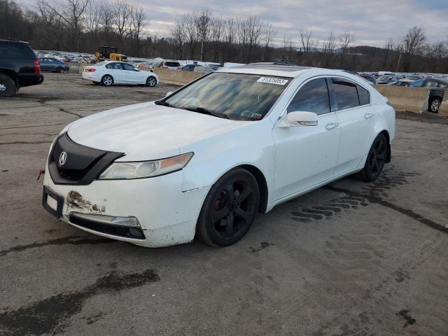 Obraz 2010 ACURA TL  2010