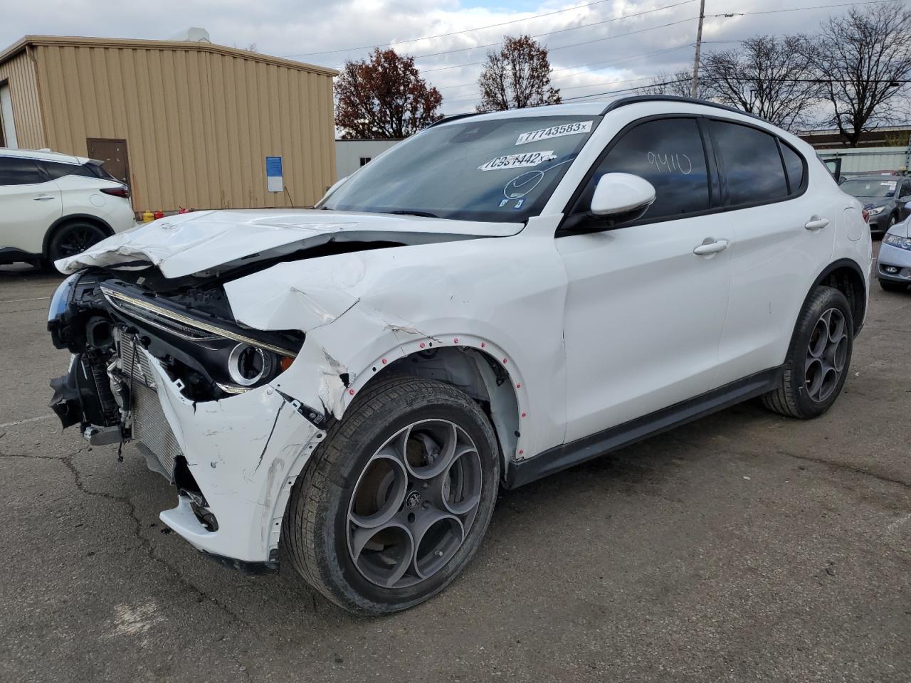 Obraz 2022 ALFA ROMEO STELVIO  2022
