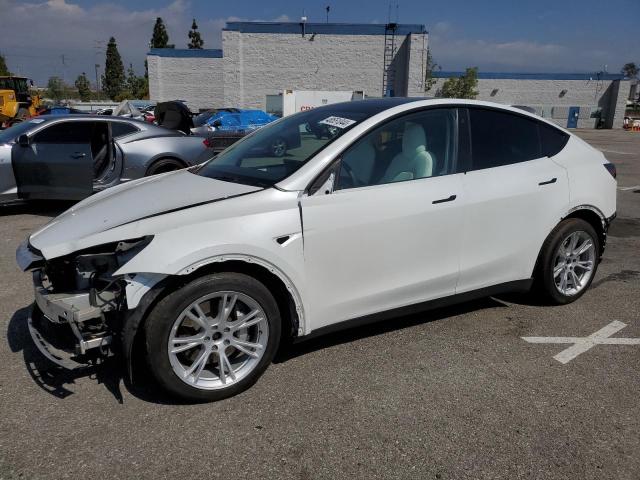 2020 TESLA MODEL Y  2020 image