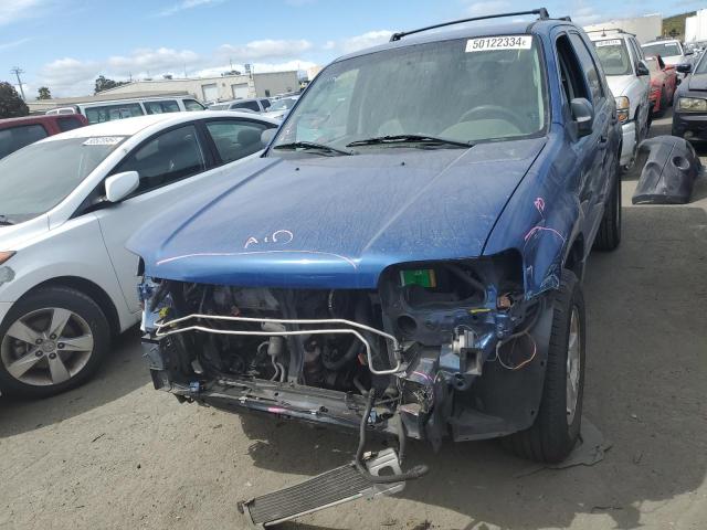 Image 1 of 2007 FORD ESCAPE XLT 2007 with VIN 1FMCU031X7KA64918
