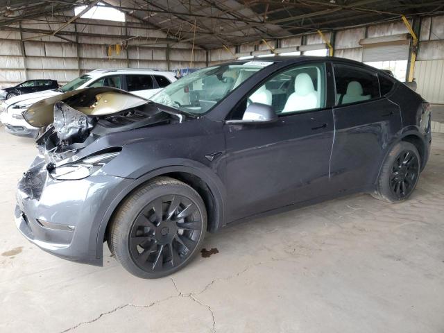 2023 TESLA MODEL Y  2023 image