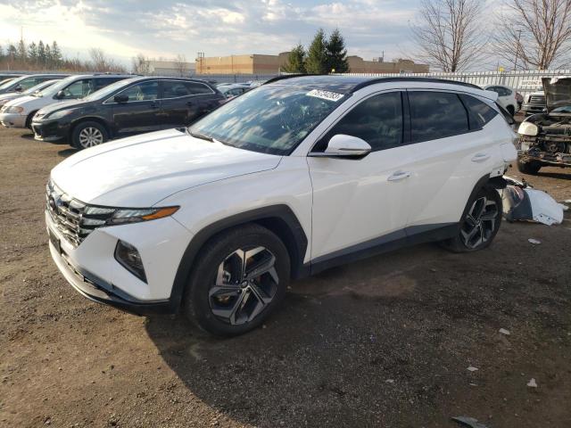 Изображение 1 2023 HYUNDAI TUCSON LUXURY 2023 с VIN KM8JCCA12PU115850
